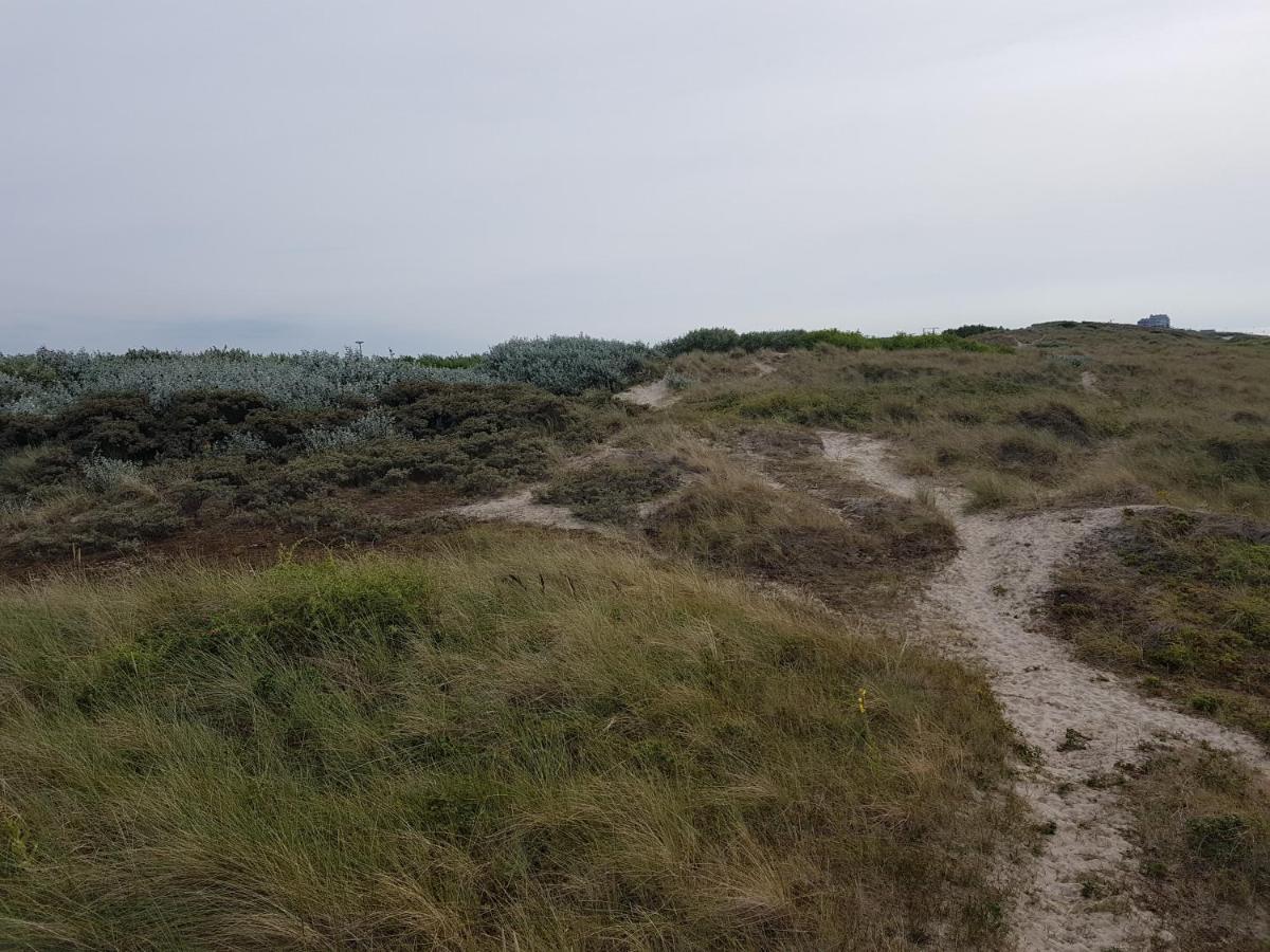 Seacottage Blankenberge - Wenduine เดอฮาน ภายนอก รูปภาพ